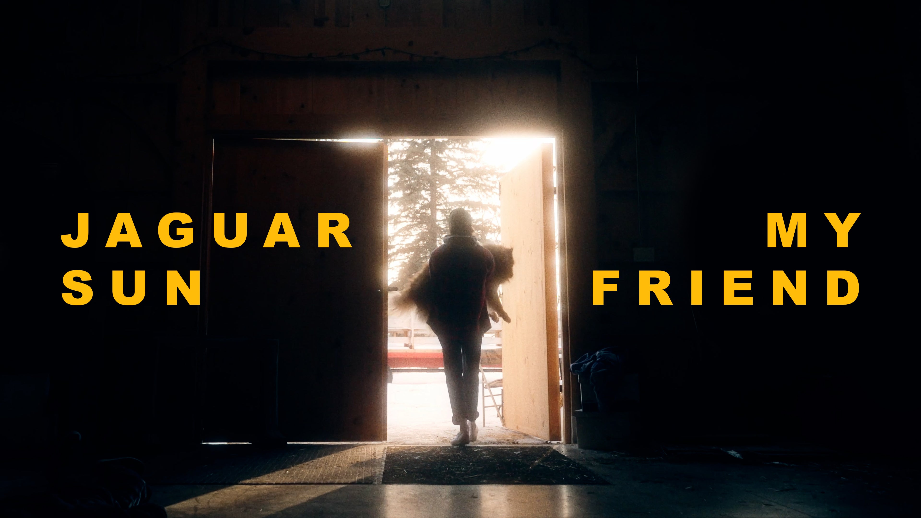 Load video: 